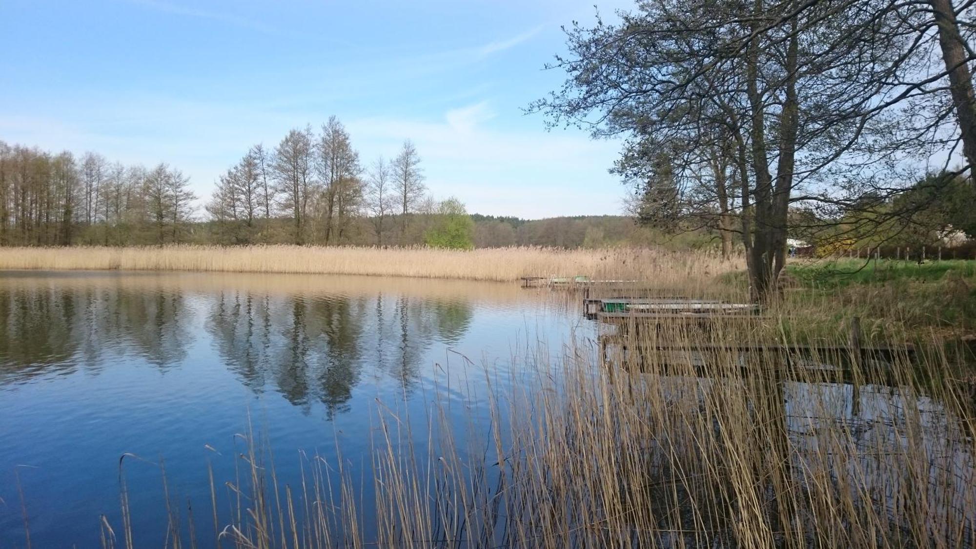 Idyll Im Land Der 1000 Seen Liessow  외부 사진